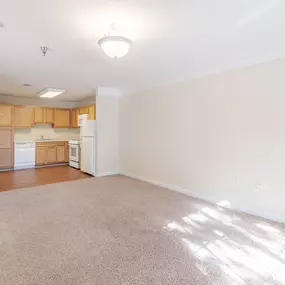 Living Room Area and Kitchen