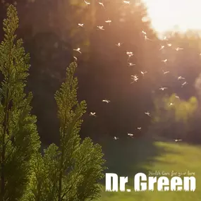 Bild von Dr. Green Services