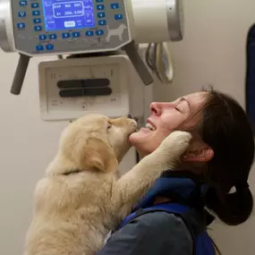 Bild von Seneca Hill Animal Hospital Resort & Spa