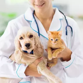 Bild von Seneca Hill Animal Hospital Resort & Spa