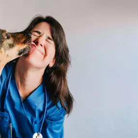 Bild von Seneca Hill Animal Hospital Resort & Spa
