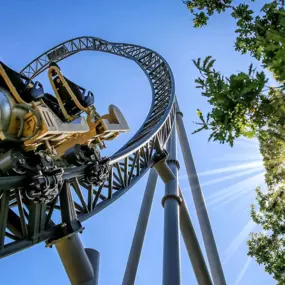 Bild von Freizeitpark Fotograf