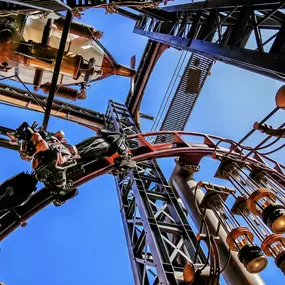 Bild von Freizeitpark Fotograf