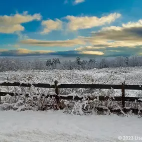 Bild von Sunlight and Shadow ~ Lisa A. Olson Photographer