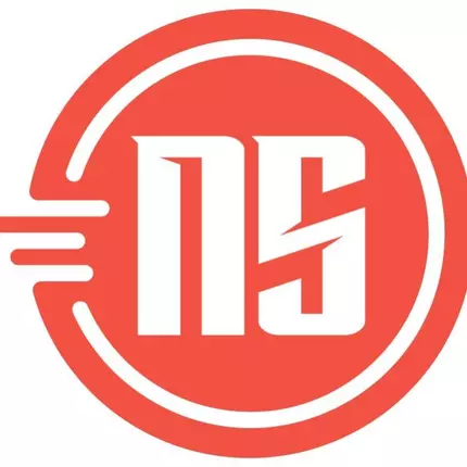 Logo from NS Motor Diagnostics