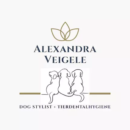 Logo from Hundesalon Alexandra Veigele Hundefriseurin + Wellness für Hunde