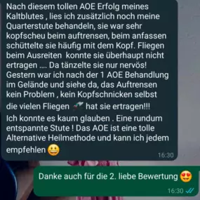 Bild von Vanessa Bergmann Energiearbeit für Pferde