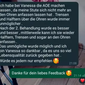 Bild von Vanessa Bergmann Energiearbeit für Pferde