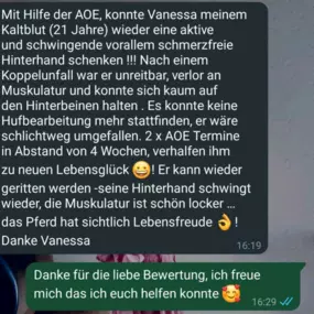 Bild von Vanessa Bergmann Energiearbeit für Pferde