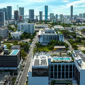 Aerial view of the neighborhood