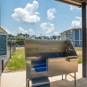 Pet wash station