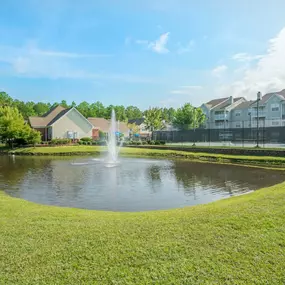 Pond