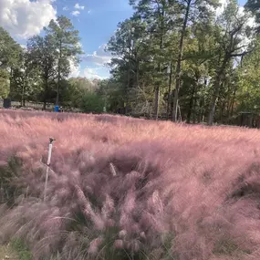 Bild von G&T Nursery