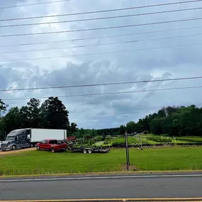 Bild von G&T Nursery