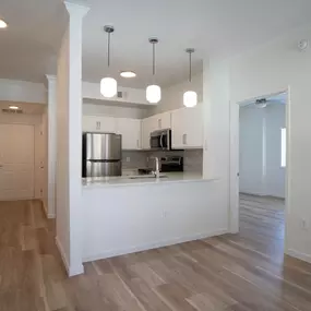 Kitchen and Living Room