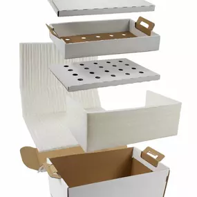 Single-use insulated carry-out box designed for hot and cold foods, offering curbside recyclability and FDA approval for direct food contact