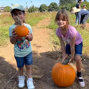 Bild von Farm Stand West, Fresh Produce, Pumpkin Patch, Christmas Trees