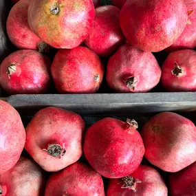 Bild von Farm Stand West, Fresh Produce, Pumpkin Patch, Christmas Trees