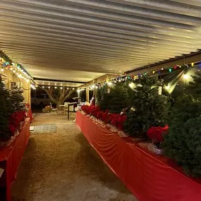 Bild von Farm Stand West, Fresh Produce, Pumpkin Patch, Christmas Trees