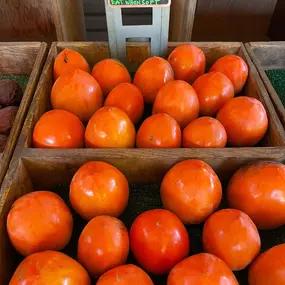 Bild von Farm Stand West, Fresh Produce, Pumpkin Patch, Christmas Trees