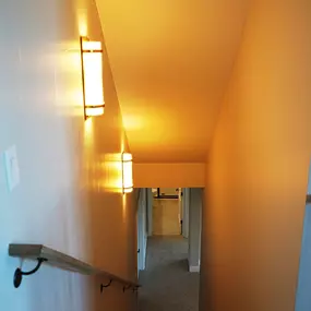 Bild von Limelight Services