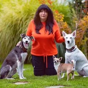 JaKiDa SIWI Hundecoach & Tierkommunikation