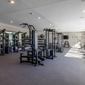 A well-equipped gym with various exercise machines and weights.