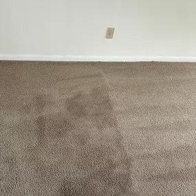 Bild von Bowden's Carpet Cleaning
