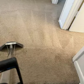 Bild von Bowden's Carpet Cleaning
