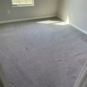Bild von Bowden's Carpet Cleaning