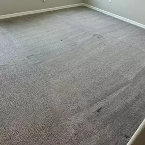 Bild von Bowden's Carpet Cleaning