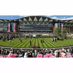 Bild von UKLPH Uk London Private Hire Ltd.