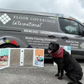 Bild von Floor Coverings International Metro Lex