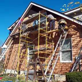 Wood Siding