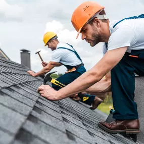 Roof Maintenance