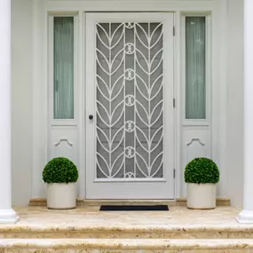 Storm Door