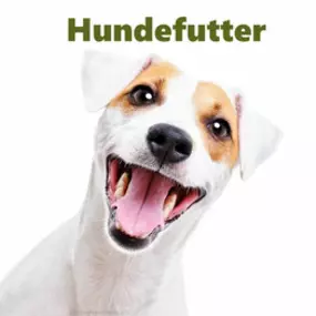 REICO Vital Hundefutter - artgerechtes & gesundes Futter für Ihren Hund. REICO verwendet keine künstlichen Zusatzstoffe, Zucker oder synthetische Aromastoffe. REICO Hundefutter ist zu 100 % naturbelassen.