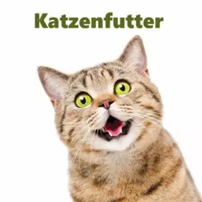 REICO Vital Katzenfutter - Hochwertige Ernährung für Ihre Katze. REICO Nassfutter und Trockenfutter für Katzen sind Premium-Futter, das ausschließlich aus lebensmitteltauglichen Zutaten besteht und schonend in Deutschland im Allgäu hergestellt wird.