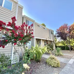 Exterior of Units with ornamental trees and shrubs