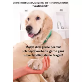 Bild von Tierkommunikation-Seelenverständnis