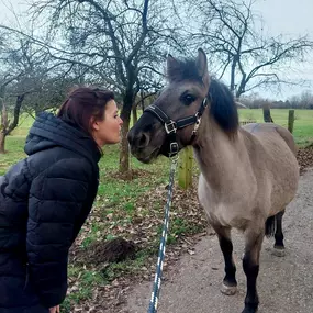 Bild von Tierkommunikation-Seelenverständnis