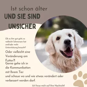 Bild von Tierkommunikation-Seelenverständnis