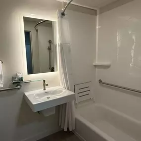 Double Queen Accessible Bathroom