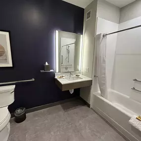 Mobility Accessible Guest Bathroom with Bathtub