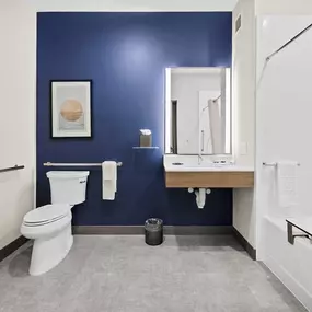 Accessible Guest Bathroom
