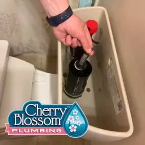 Bild von Cherry Blossom Plumbing