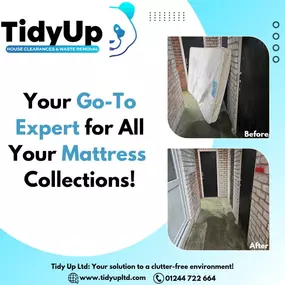 Bild von Tidy Up Ltd