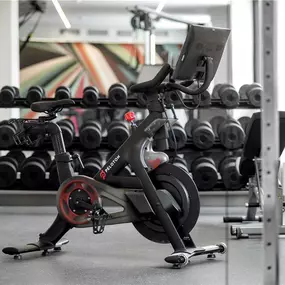 Health club  fitness center  gym
