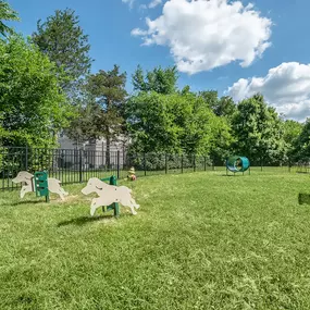 Dog park