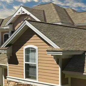 Bild von Rapid Roofing